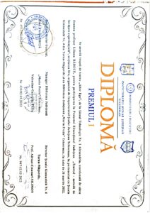 Diplomă obținută de elevii liceului la un concurs școlar