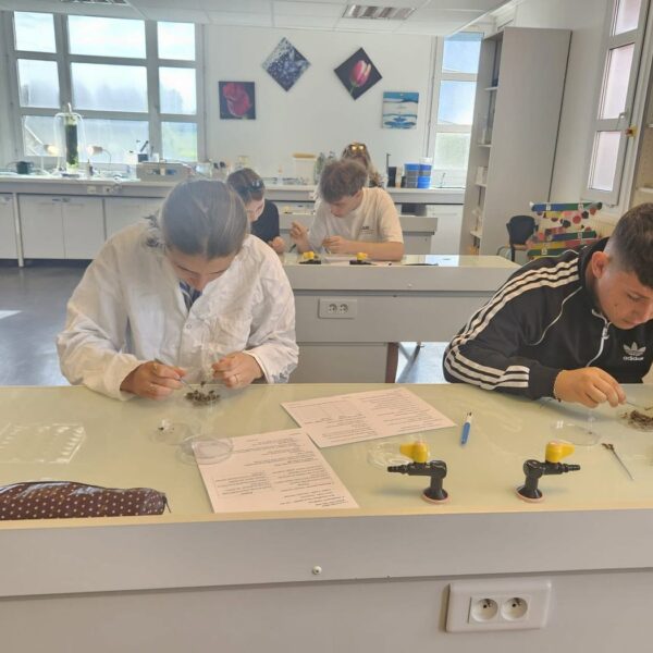 Proiect Erasmus+ KA1 — Educație școlară, fotografia 3