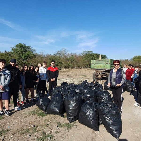 Activitate de voluntariat, fotografia 14